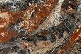 Red/Black, Polished Petrified Wood (Araucarioxylon) - Arizona #165978-2